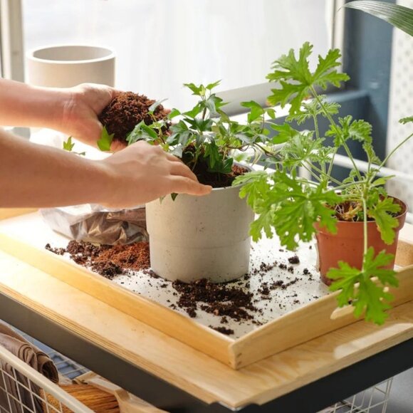 Ikea Nypon Gray Plant Pot - Picture 3 of 16